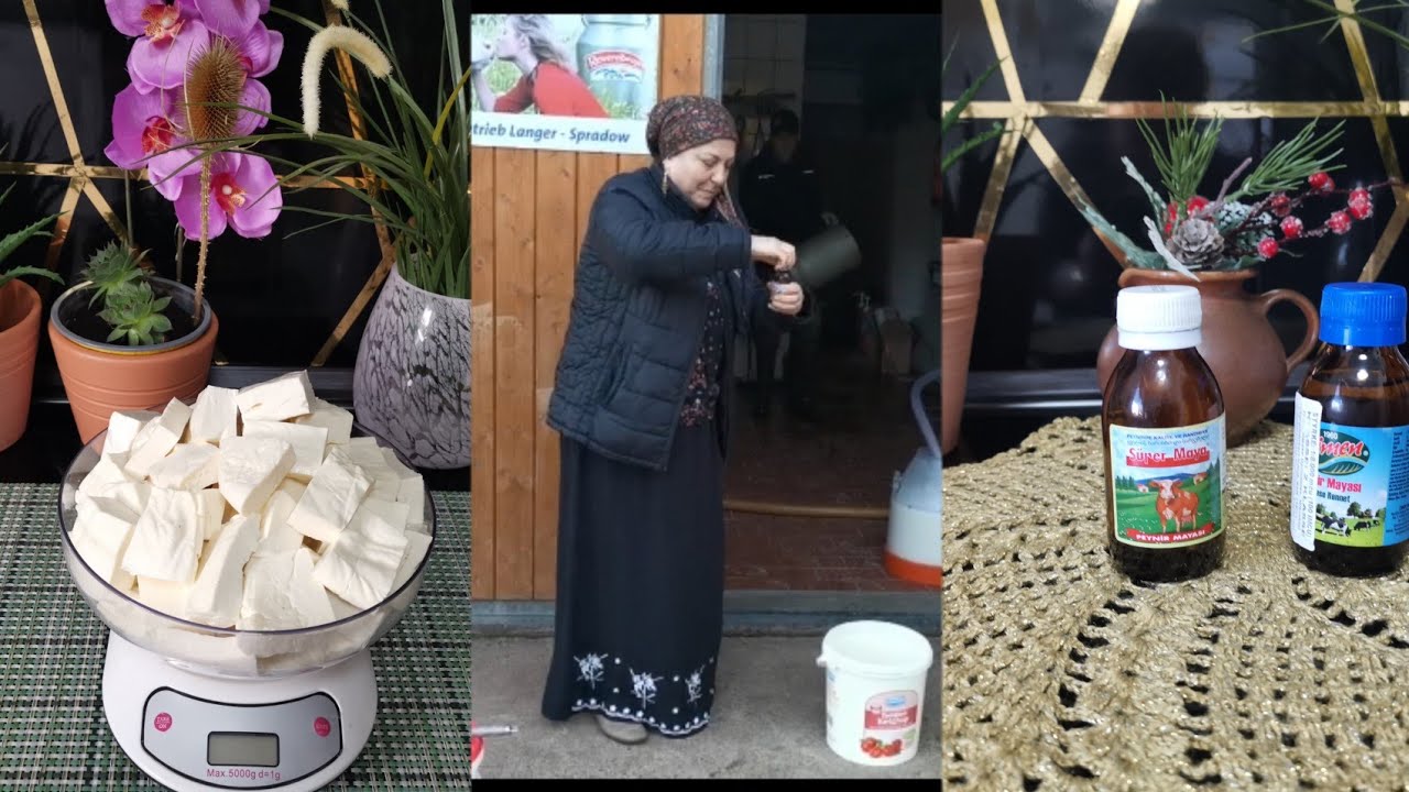 طريقة عمل الجبنة عفريني في المنزل ب ١٠ كيلو فقط 🐂🌿