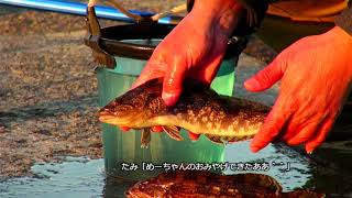 波崎新港ちょい投げでカレイ・クロダイを狙う② 2021 12-19【たこ焼き】