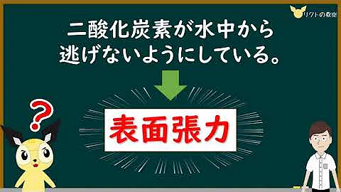 小学生 メントスコーラ