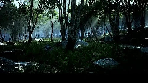 8 HOURS OF RELAXING NATURE SOUNDS AND GENTLE BIRDSONG