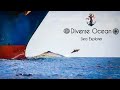 Competition  🐬  VS  🚢
