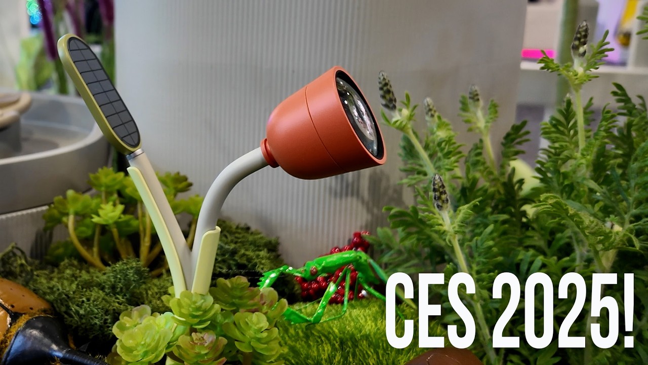 Bird Buddy's Wonder System adorably records butterflies #ces2025