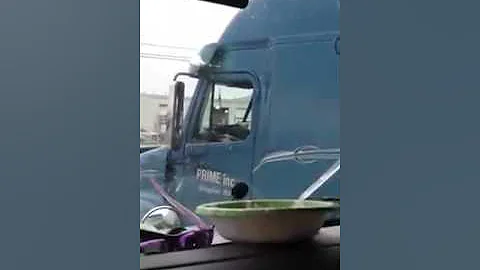 What not to do while backing.