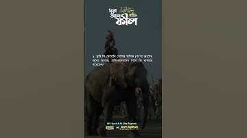 সূরা আল্‌ ফীল 105 سورة الفيل surah Al Fil Chapter of the Elephant বাংলা অনুবাদ mahfuz art of nature