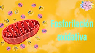 ¿Cuál es el sustrato de la fosforilacion oxidativa?