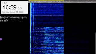 The Buzzer/UVB-76(4625Khz) August 24th 2020 16:28UTC Voice message