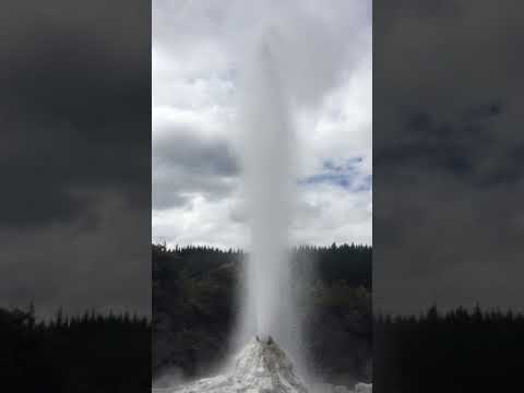 Video: Gång, Kognition Och Faller över 5 år, Och Motorisk Kognitiv Risk Hos Octogenarianer I Nya Zeeland: Te Puāwaitanga O Nga Tapuwae Kia Ora Tonu, LiLACS NZ