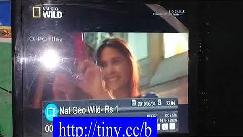 Update Ecolink El-8888 HD Official Flash File.