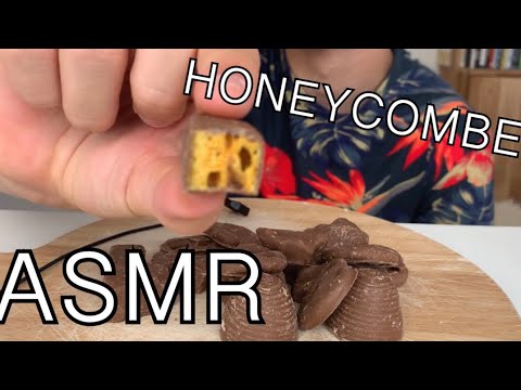 ASMR | Eating Honeycomb covered in chocolate and pretzels ( crunchy, smooth eating sounds)