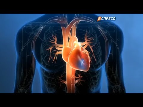 Pro здоров&rsquo;я | Серцево-судинні захворювання