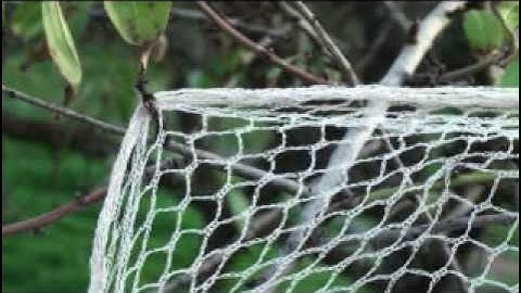 Bird Netting Trees & Vines