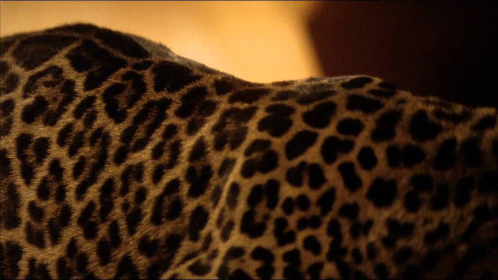 YSL Opium TV Ad Emily Blunt