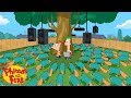 Perry Leaves Danville | Phineas and Ferb | Disney XD