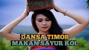 Lagu Dansa Terbaru 2019 // Makan Daging Anjing Dengan Sayur KOL