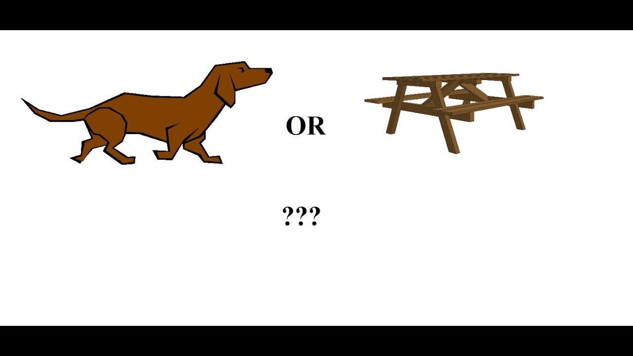 How do we know what things are?