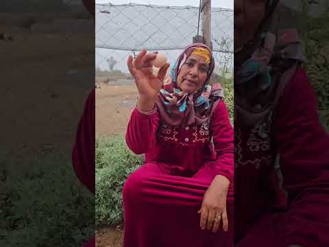 وصفة مجربة للقضاء على العين   