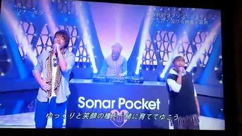 تحميل ソナーポケット 花 Mp4 Mp3