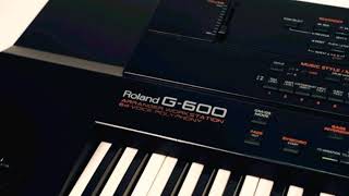 SAKARYA GECELERİ ALEM GECELERİ 2 (ROLAND G600)