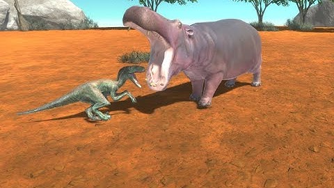 New Remastered Hippo V.S Every Unit [Part 2]|Animal Revolt Battle Simulator