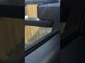 Everyone is OBSSESED with this TRUCK #shorts #wholesome #trending