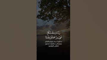 القران الكريم راحة نفسية 🌹 #متابعة #اكسبلور #لايك #دويتو
