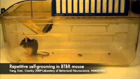 Repetitive Self-Grooming