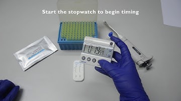 TYPHIDOT RAPID IgGIgM COMBO TEST