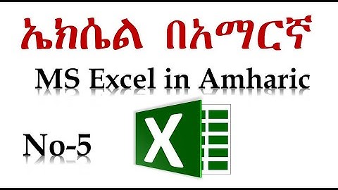5  Microsoft Excel for Beginners - Basic Tutorial in Amharic Numbers Essential Ethio LiQ