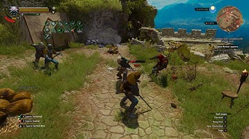 The Witcher 3 - alchemy build vs hanse base