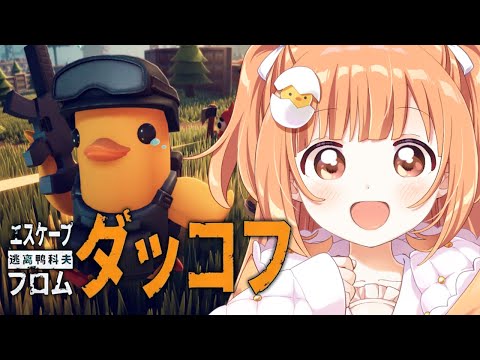 𓊆 エスケープ フロム ダッコフ 𓊇 完全初見でアヒルになります!物資あつめて脱出するゲーム!! 𓊆 雲母たまこ/にじさんじ 𓊇 video thumb