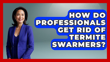 How Do Professionals Get Rid Of Termite Swarmers? - Insects and Invaders