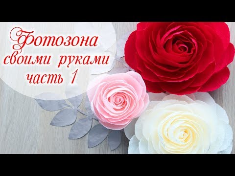 Video: Жай бою кандай роза гүлдөрү ачылат
