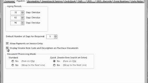 Company Options   Payables Tab