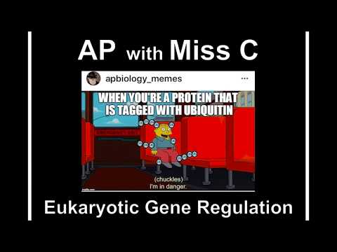 Miss Cote's AP
