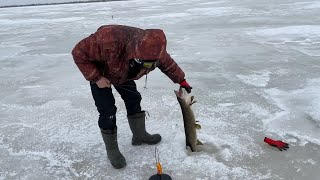 НЕ hot Fishing/ Закрыли сезон 17.04.2022