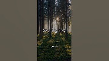 الْيَوْمَ تُجْزَىٰ كُلُّ نَفْسٍ بِمَا كَسَبَتْ || سورة غافر || محمد أيوب
