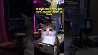 Bitcoin 🪙 tomo la liquidez en la parte superior 66k-67k para seguir cayendo. Trader Rentable 🫵🤑