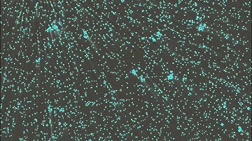 Direct Compute in SlimDX, Conway