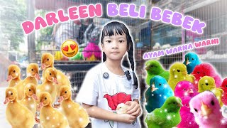 Darleen Beli Bebek Dan Ayam Warna Warni