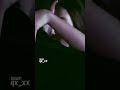 كاضم الساهر