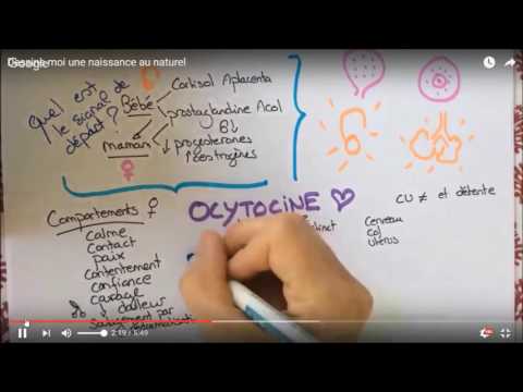 Vidéo: CONDISOX - Stimulation Continue Ou Interrompue Par L'ocytocine Du Travail Induit Dans Un Essai Contrôlé Randomisé En Double Aveugle