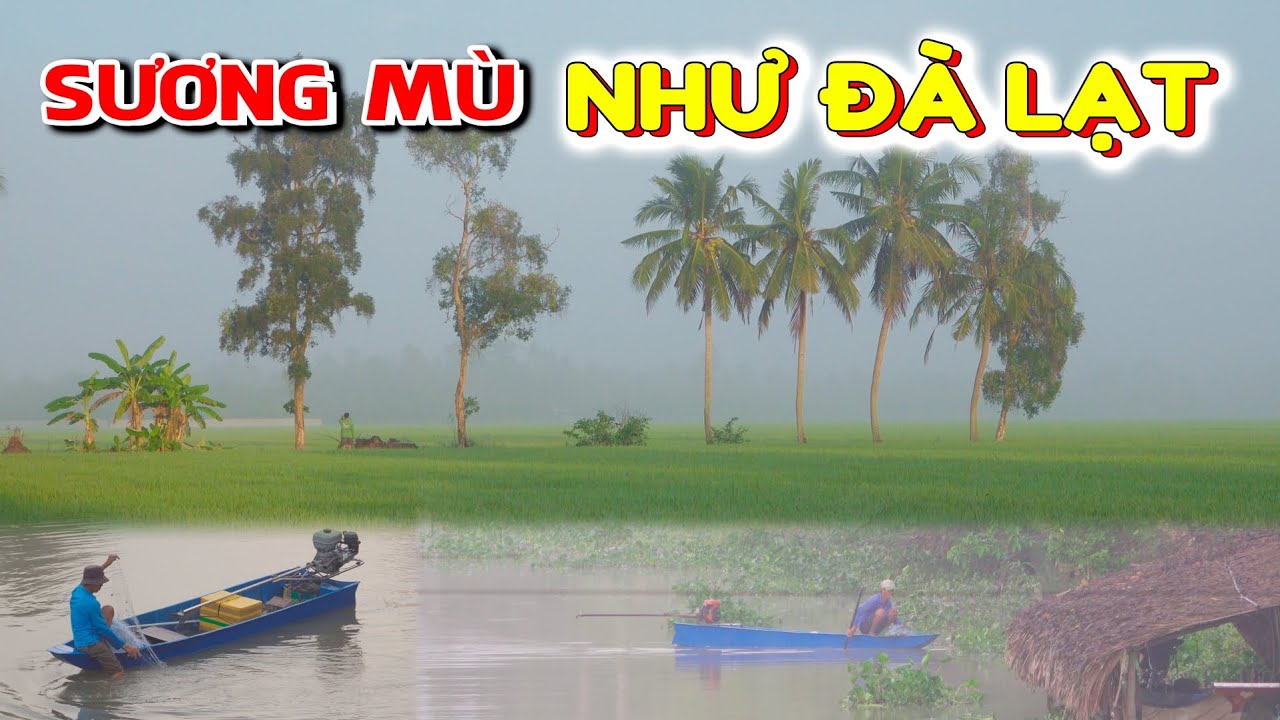 Sương mù dày đặc như ở Đà Lạt, cảnh quê còn lại gì sau Tết