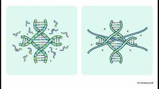 High Curiosity): How GooDNASequencinggle’s AI is Rewriting the Human Genetic Code