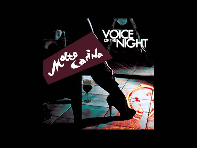 Molto Carina - Love For Sale