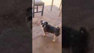 15 De Agosto De 2024