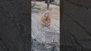 it's so cute