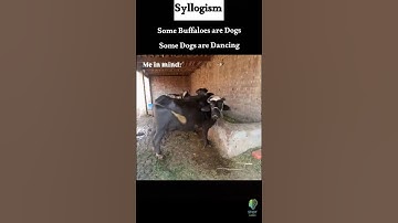 Reasoning syllogs be like 🤣| #bankingexam #viral #reasoning #shorts #sbipoexam