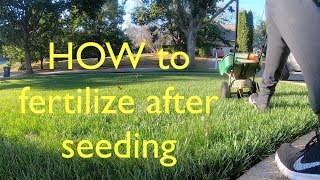 I am continuing the spoon feeding of my new grass. going with a
12-12-12 fertilizer and putting down .25 pounds nitrogen per 1,000
square feet. this ...