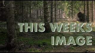 Mindful Photography - Image Review