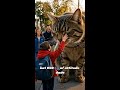 Imagine your house cat… but 900 kilograms.